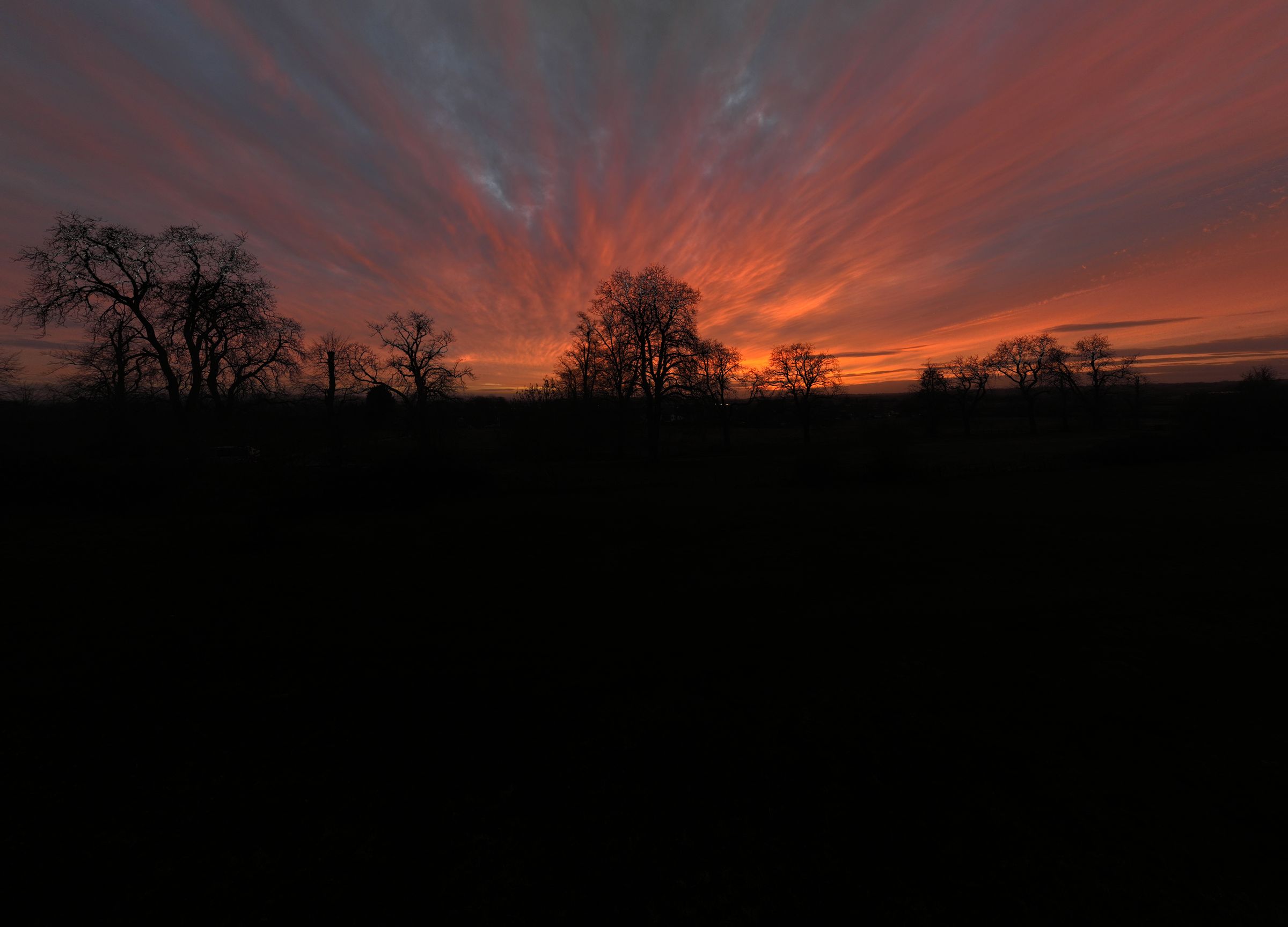 Ember-coloured sky at dusk over silhouetted trees