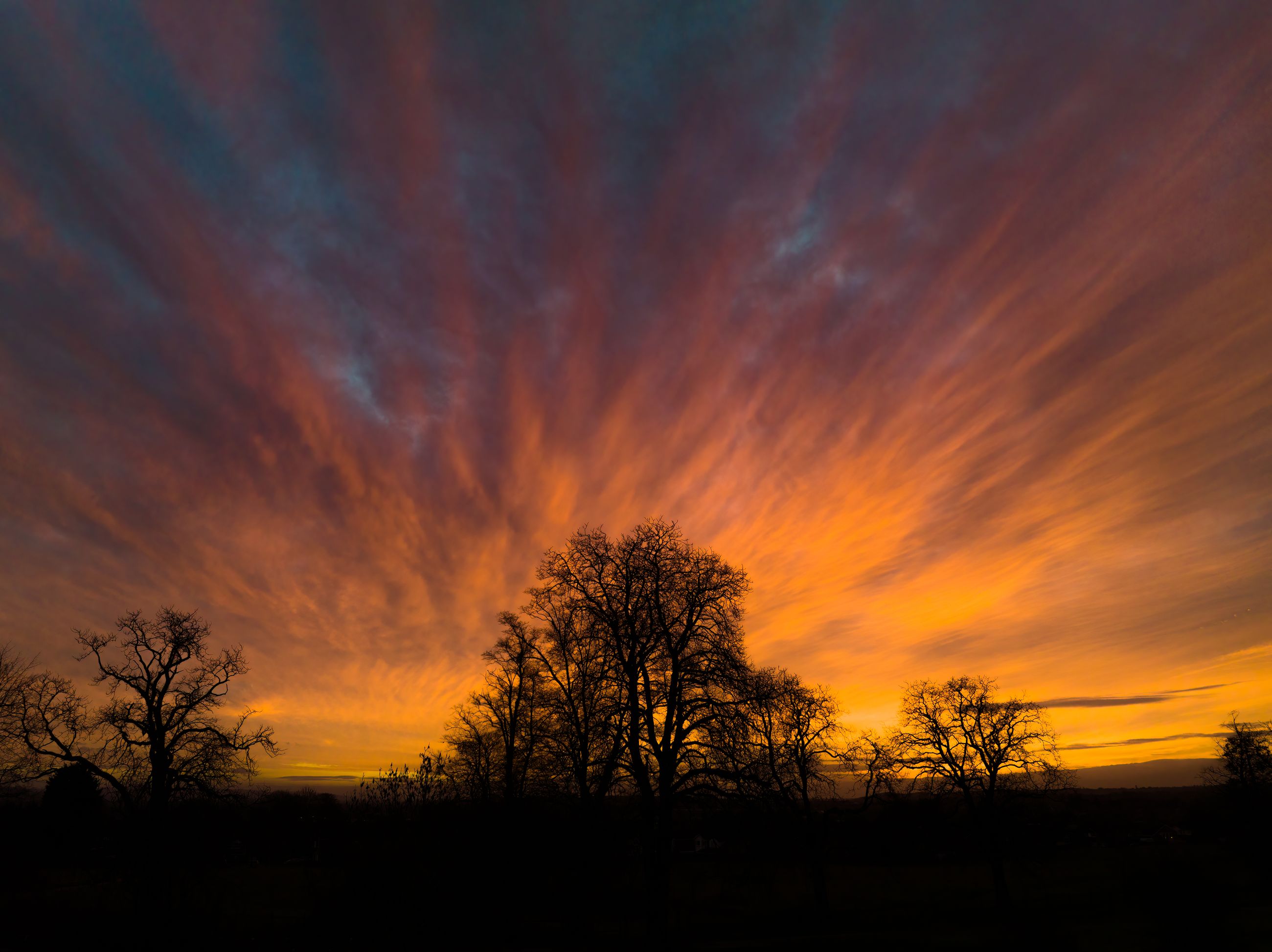 A radiating sunset over silhouetted trees at last light